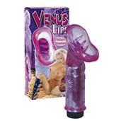 Venus Lips 