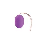 10 Speed Remote Vibrating Egg Purple 